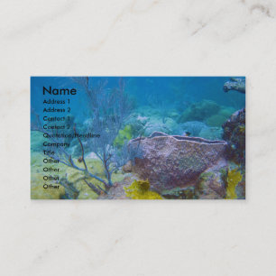 Underwater Business Card