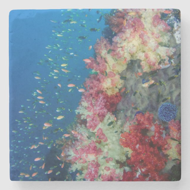 Underwater coral reef, Indonesia Stone Coaster (Front)