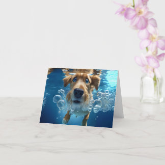 Underwater Dog Swimming Bubbles Blue Eyes Blank Card