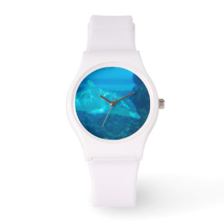 Underwater Dolphin Watch
