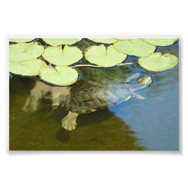 Underwater Exercise Photo Print (Front)