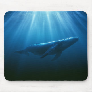 Underwater Humpback Whale Mouse Pad