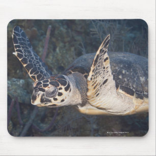 Underwater Life: A Hawksbill Sea Turtle 2 Mouse Pad