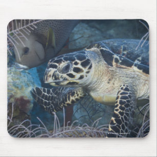 Underwater Life: A Hawksbill Sea Turtle Mouse Pad