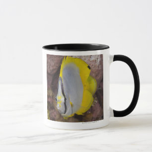 Underwater Life, FISH: A colourful tropical Mug