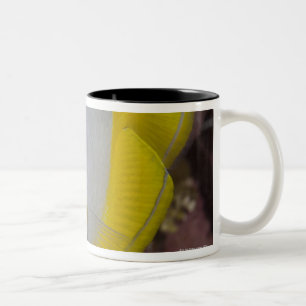 Underwater Life, FISH: A colourful tropical Two-Tone Coffee Mug