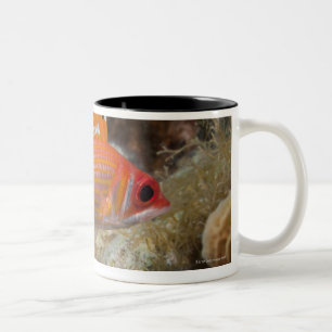 Underwater Life, FISH:  a Longjaw Squirrelfish Two-Tone Coffee Mug