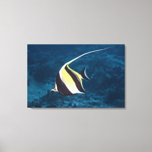 Underwater life;FISH: A Moorish Idol (Zanclus Canvas Print