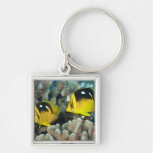Underwater Life; FISH: A pair of Fourspot Key Ring