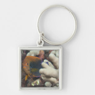 Underwater life; FISH: A portrait of a Potter's Key Ring