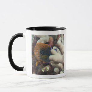 Underwater life; FISH: A portrait of a Potter's Mug