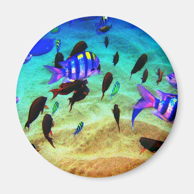 underwater magnet (Front)