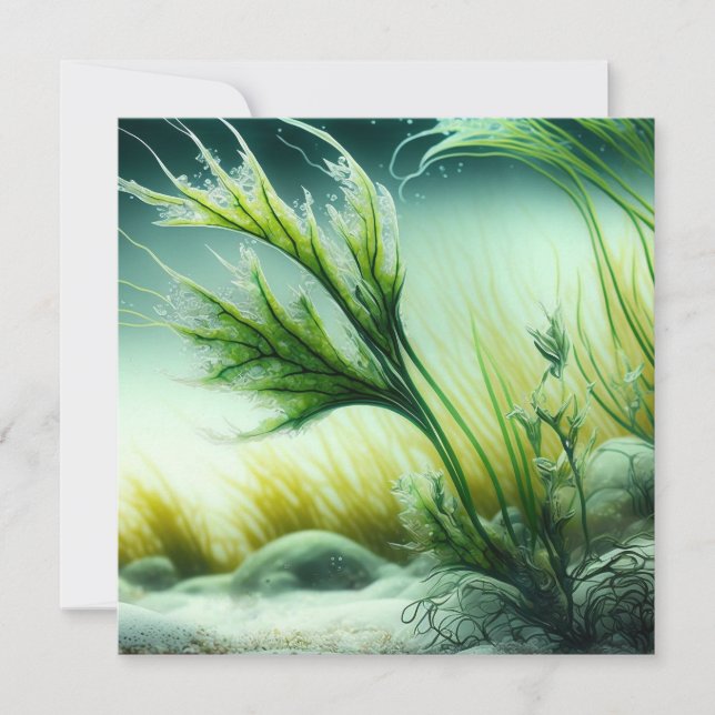 Underwater Majesty Card (Front)