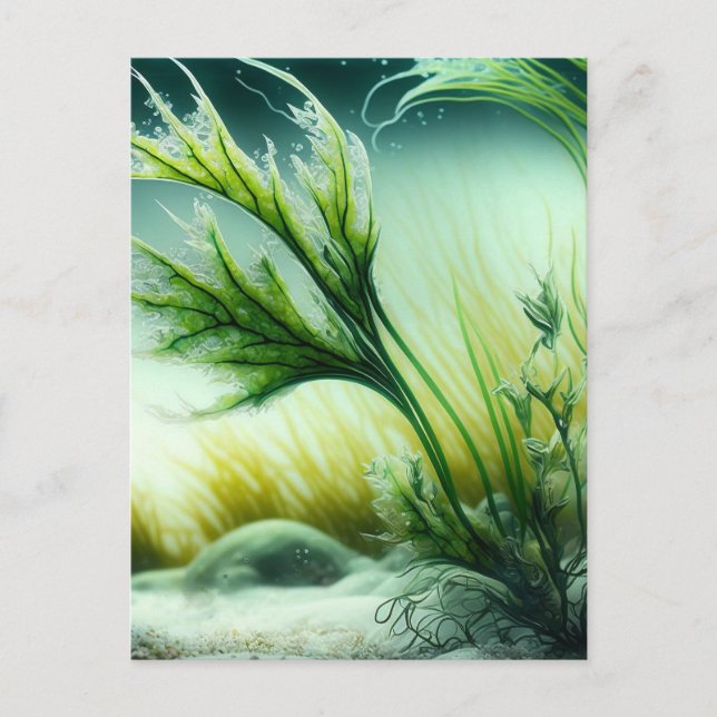 Underwater Majesty Postcard (Front)