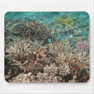 Underwater Mouse Pad