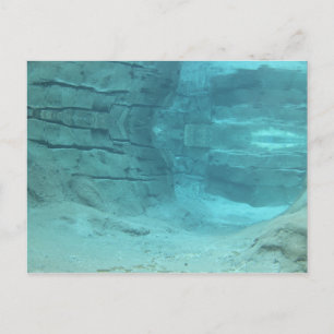 Underwater Paradise Postcard