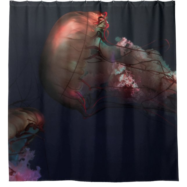 UNDERWATER PHOTOGRAPHY OF TWO RED JELLYFISH SHOWER CURTAIN (Front)