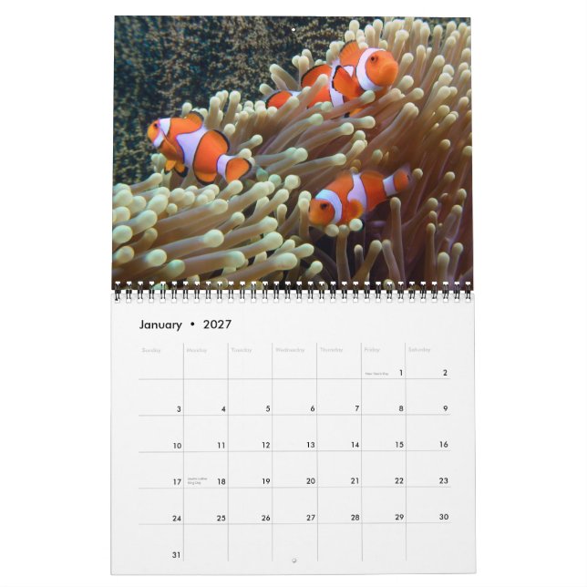 Underwater Photos 2015 Calendar (Jan 2027)