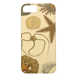 Underwater Sea Creatures iPhone 8/7 Case