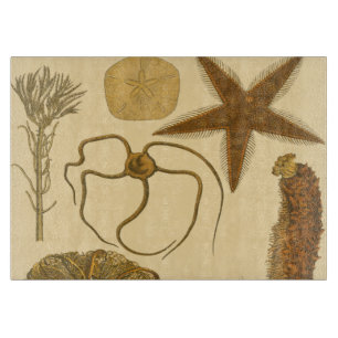 Underwater Sea Creatures Cutting Board