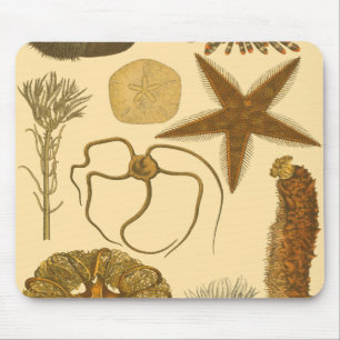 Underwater Sea Creatures Mouse Pad