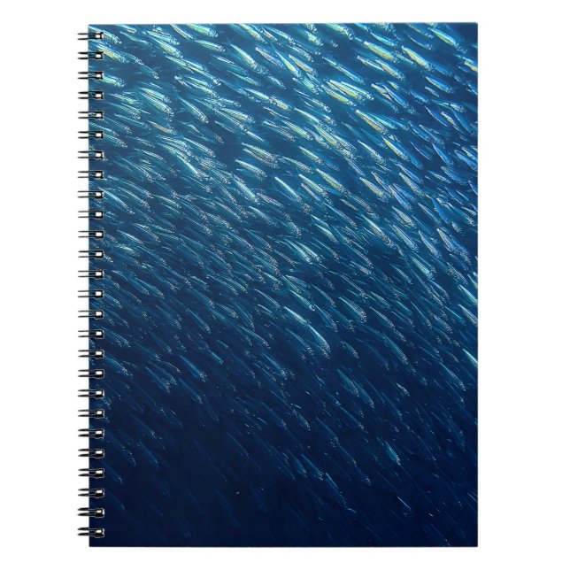 Underwater Sea Fish School Abstract Notebook (Front)