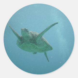 Underwater Sea Turtle Classic Round Sticker
