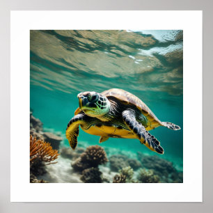 Underwater Sea Turtle Poster