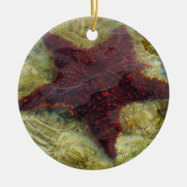 Underwater Starfish in the Bahamas Ceramic Tree Decoration (Front)