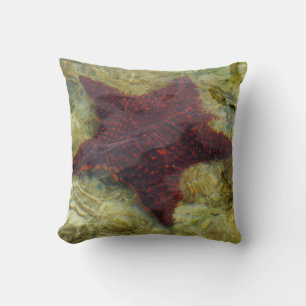 Underwater Starfish in the Bahamas Cushion