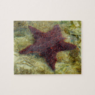 Underwater Starfish in the Bahamas Jigsaw Puzzle