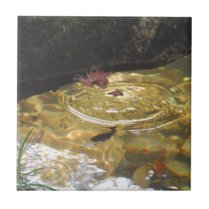 Underwater Trout feeding in Smoky Mountain creek Tile
