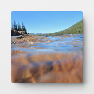 Underwater View at Little Cultus Lake, OR Plaque
