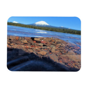 Underwater View of Little Lava Lake, Oregon Magnet