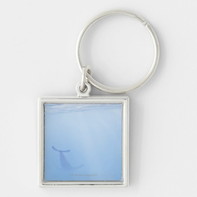 Underwater view of whale key ring (Front)