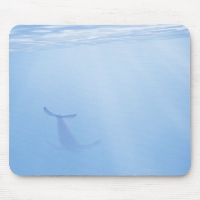 Underwater view of whale mouse pad (Front)