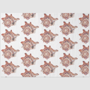 Underwater Watercolor SeaShell Series Design 6 Tissue Paper
