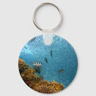 Underwater world key ring