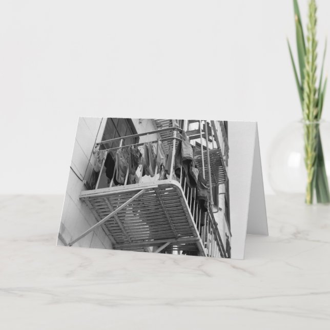 Underwear Out To Dry Humour Black and White Photo Thank You Card (Front)