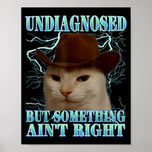 Undiagnosed But Soing Ain't Right Funny Silly Cat  Poster