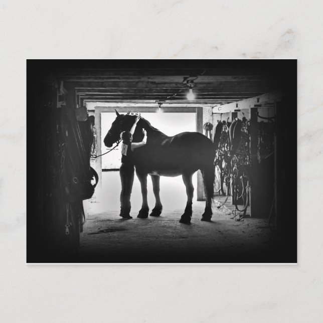 Undressing Postcard (Front)