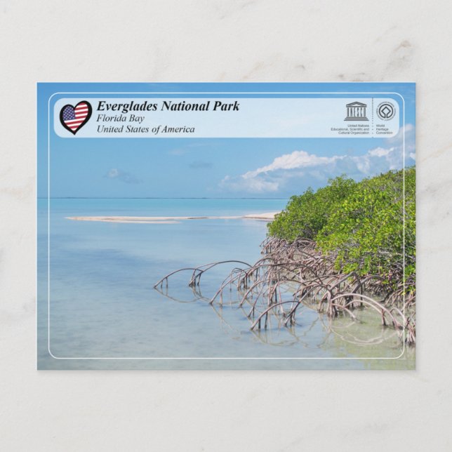 UNESCO - Everglades National Park - Florida Bay Postcard (Front)