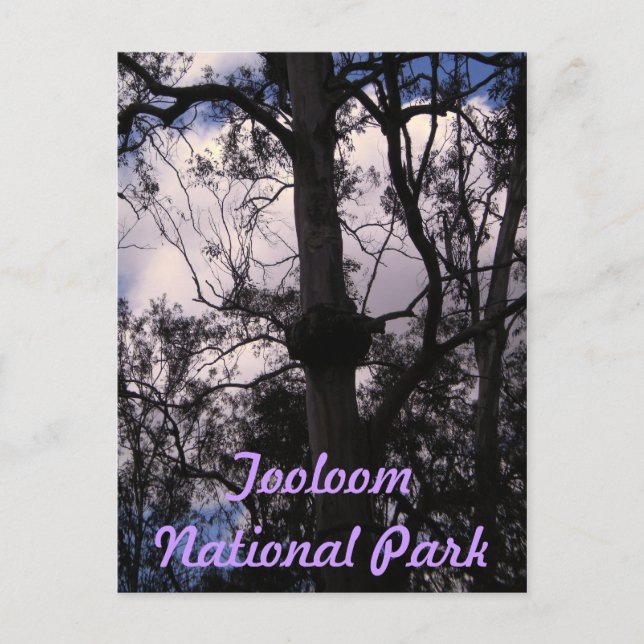 UNESCO Gondwana Ranges, Australia Postcard (Front)