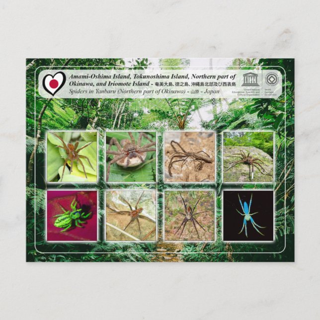 UNESCO - Northern part of Okinawa Island - 沖縄島北部 Postcard (Front)