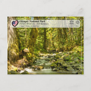 UNESCO - Olympic National Park - Hoh Rainforest Postcard