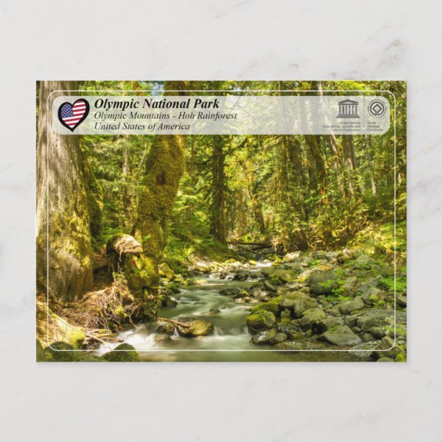 UNESCO - Olympic National Park - Hoh Rainforest Postcard (Front)