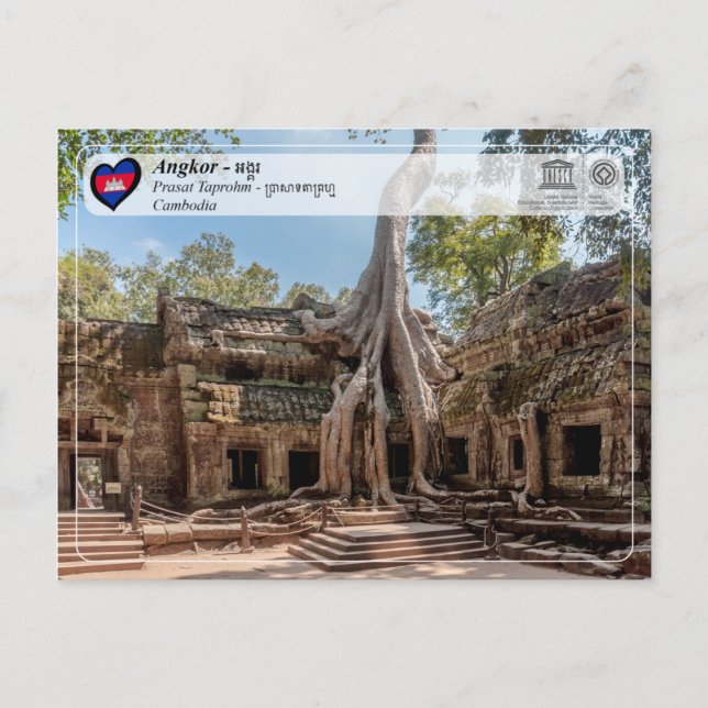 UNESCO WHS - Angkor - Taprohm Temple Postcard (Front)
