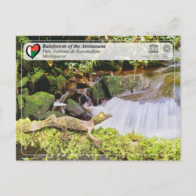 UNESCO WHS - Atsinanana - Ranomafana National Park Postcard (Front)