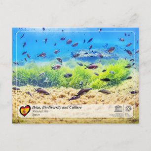 UNESCO WHS - Biodiversity of Ibiza/Eivissa Postcard