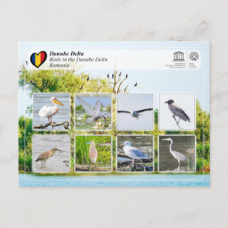 UNESCO WHS - Birds in the Danube Delta Postcard